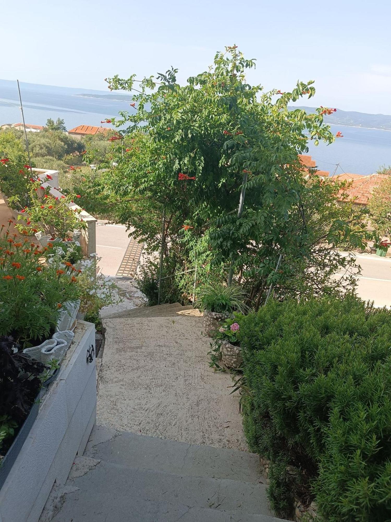 Apartment Ante Brela Dış mekan fotoğraf