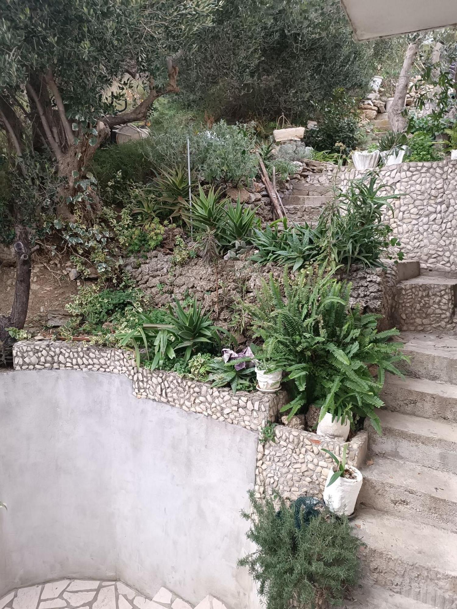 Apartment Ante Brela Dış mekan fotoğraf