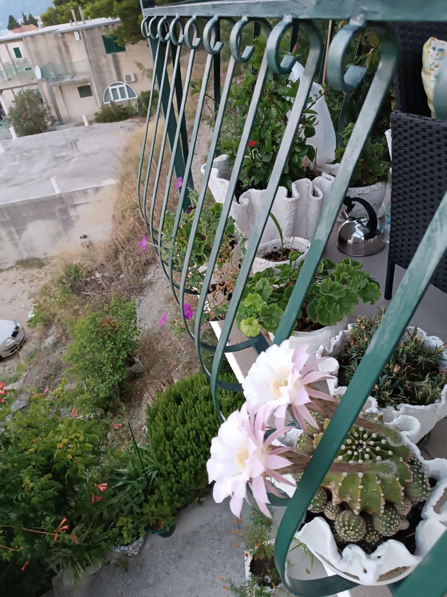 Apartment Ante Brela Dış mekan fotoğraf