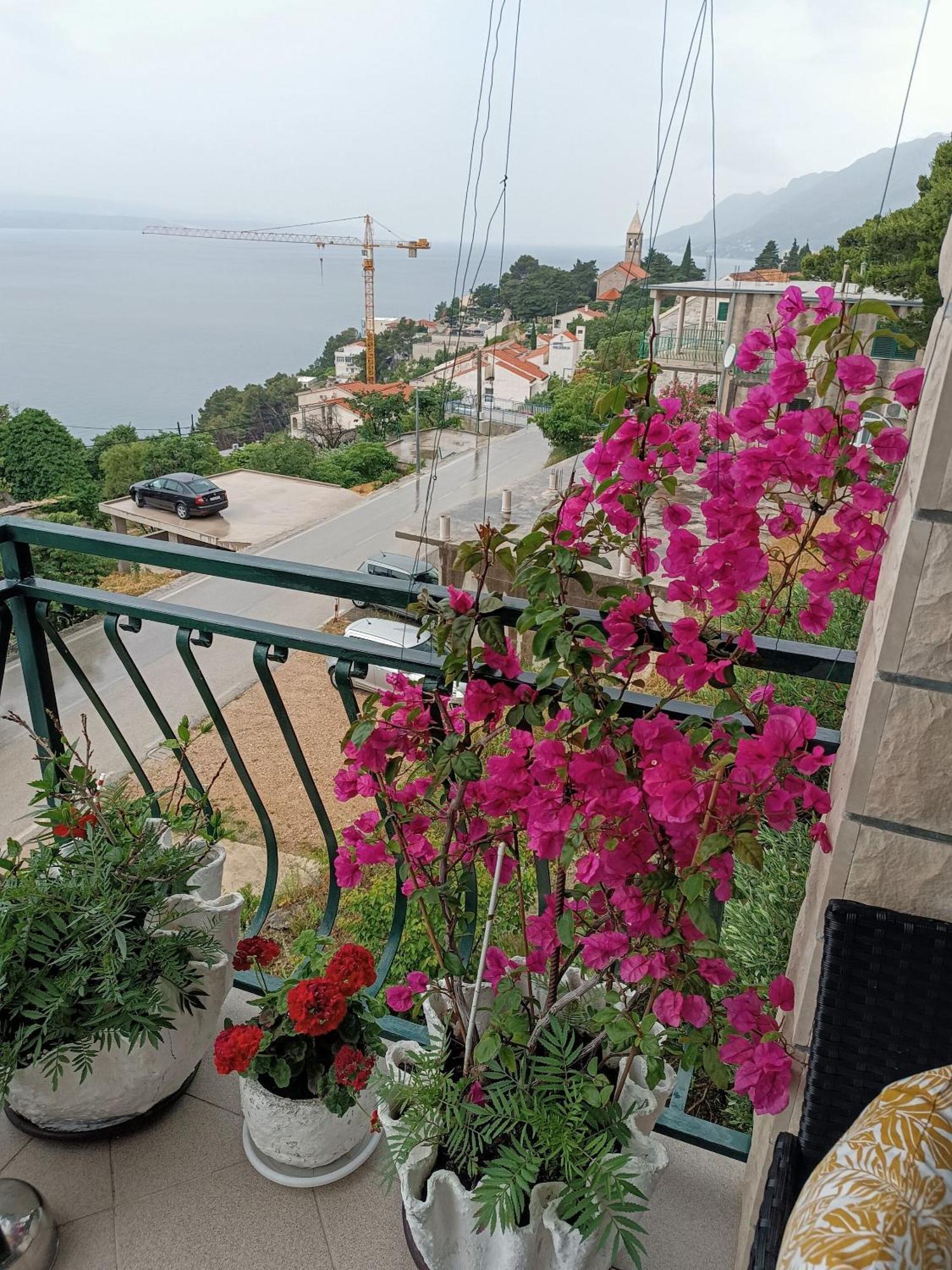 Apartment Ante Brela Dış mekan fotoğraf